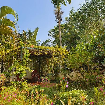 Villa My Long Cần Thơ Kültér fotó